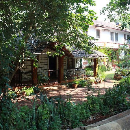 Cancio'S House Hotel Aldona Luaran gambar